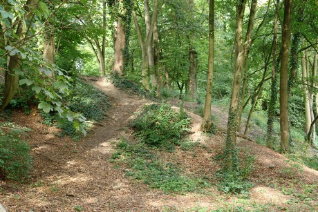 klettenbergpark