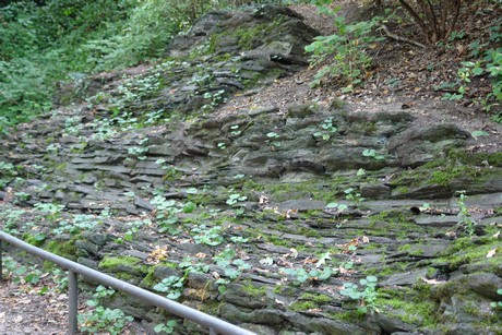 klettenbergpark