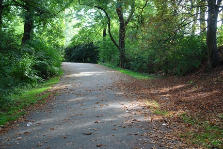 klettenbergpark