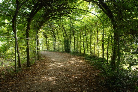 klettenbergpark