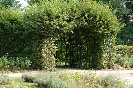 klettenbergpark
