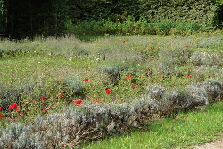 klettenbergpark