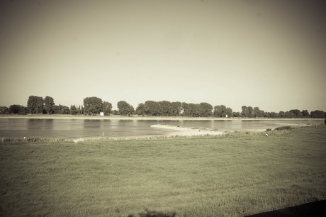 langel
