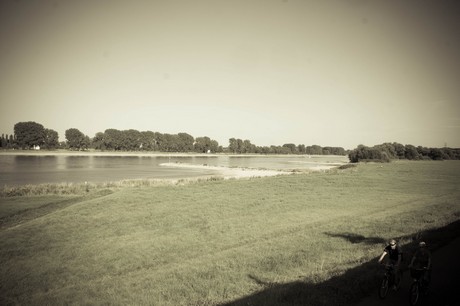 langel