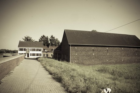 langel