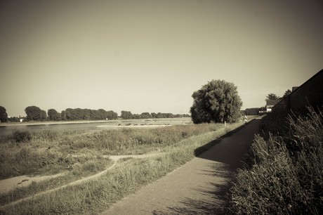 langel