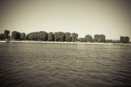 langel