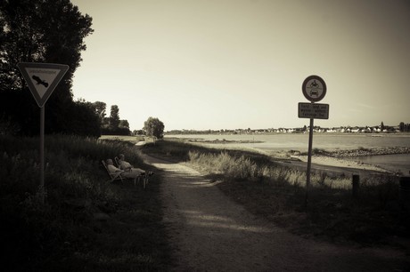 langel