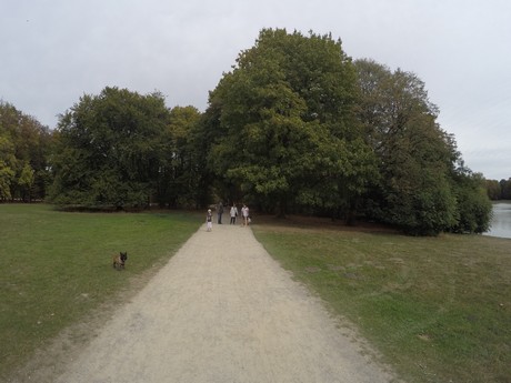 lindenthal