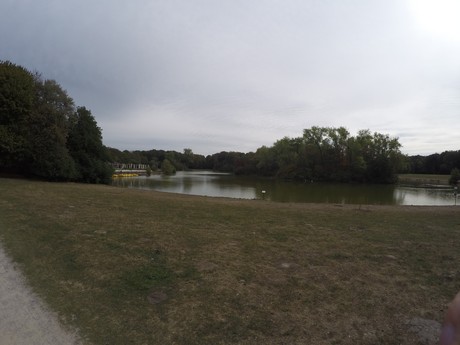 lindenthal