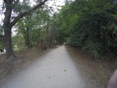 lindenthal