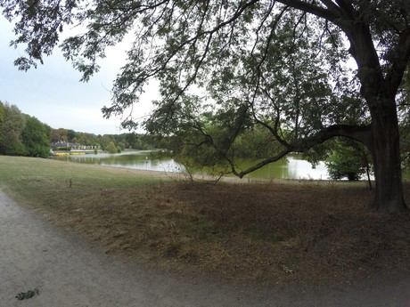lindenthal