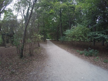 lindenthal