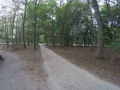 lindenthal