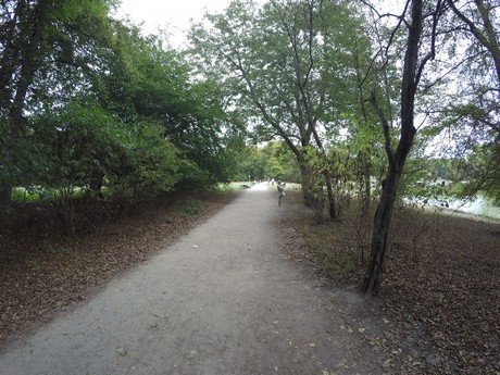 lindenthal