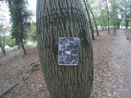 lindenthal