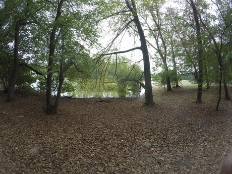 lindenthal