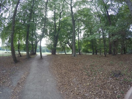 lindenthal