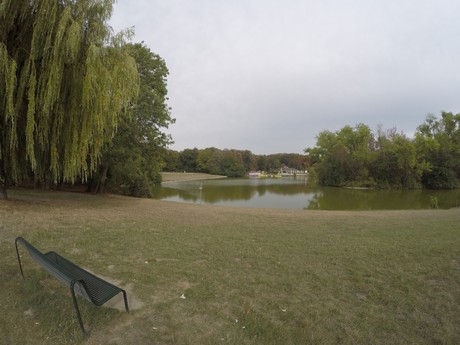 lindenthal