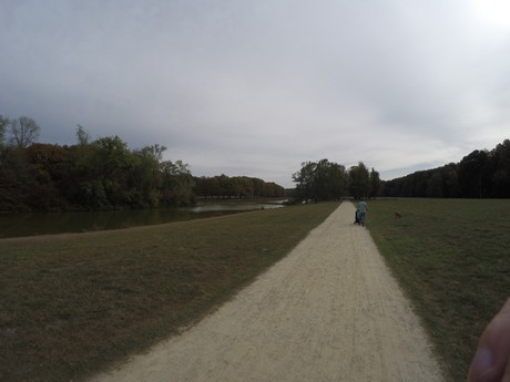 lindenthal