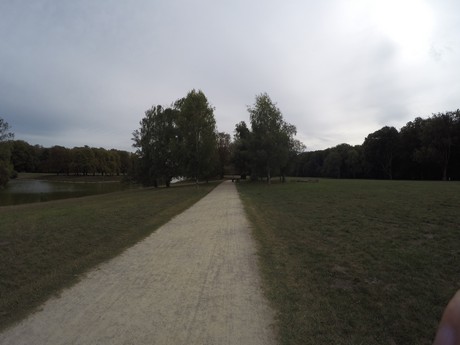 lindenthal