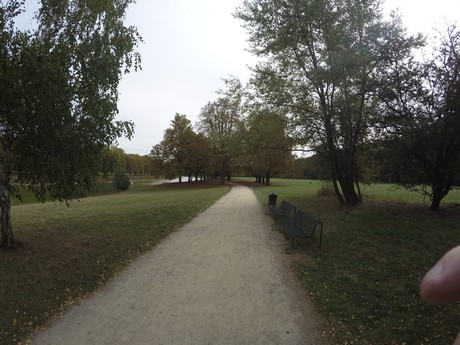 lindenthal