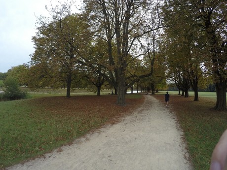 lindenthal