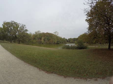 lindenthal
