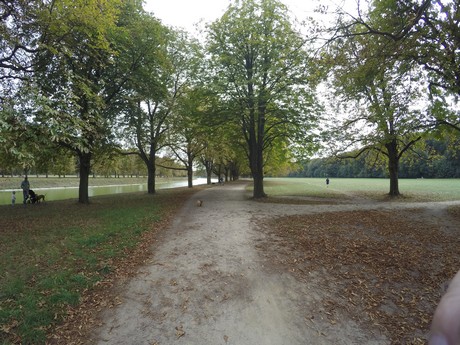 lindenthal