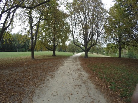 lindenthal