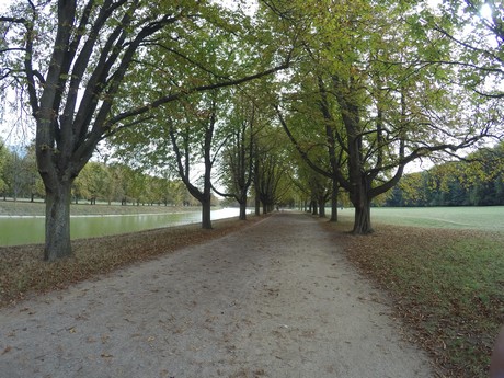 lindenthal