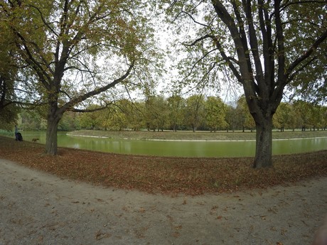 lindenthal