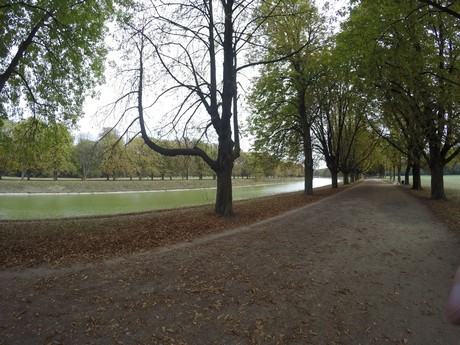 lindenthal
