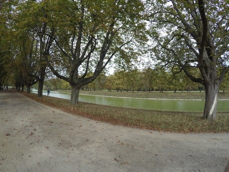 lindenthal
