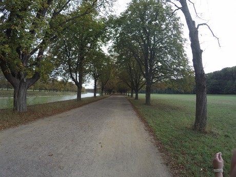 lindenthal