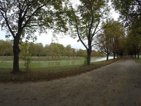 lindenthal