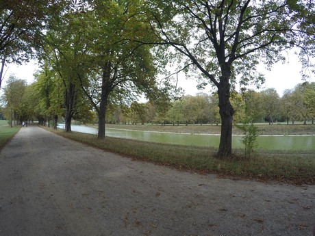 lindenthal