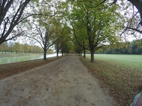 lindenthal