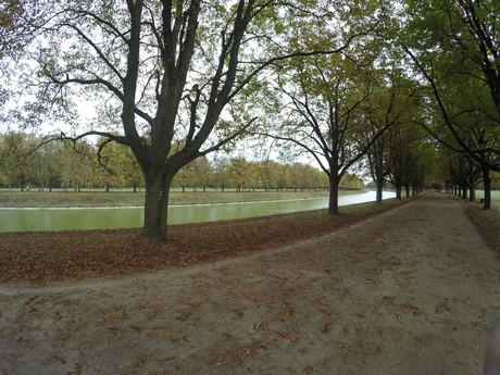lindenthal