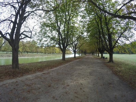 lindenthal
