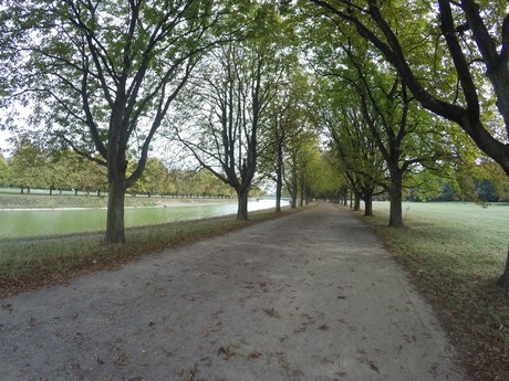 lindenthal