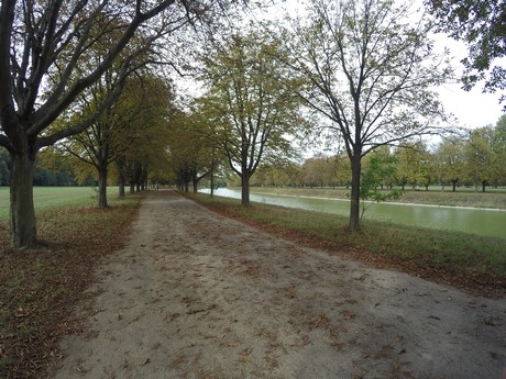 lindenthal
