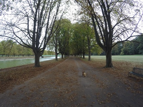 lindenthal