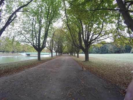 lindenthal
