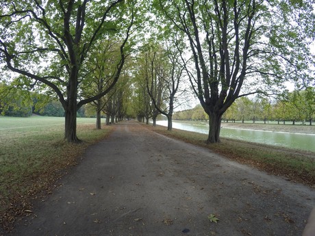 lindenthal