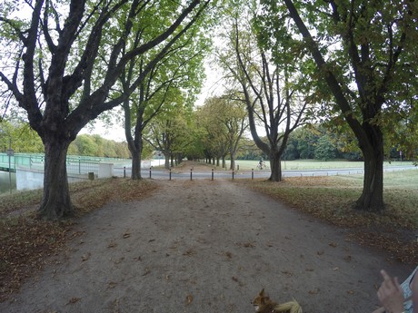 lindenthal