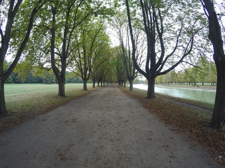 lindenthal