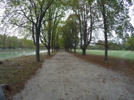 lindenthal