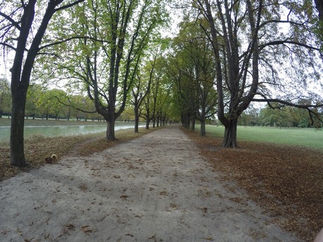 lindenthal
