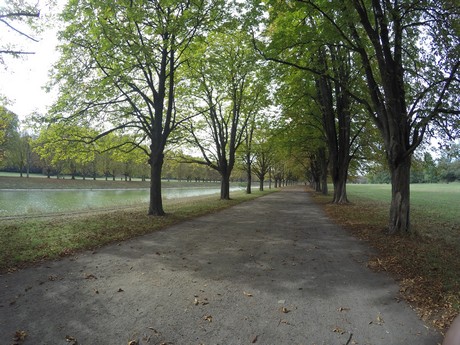 lindenthal